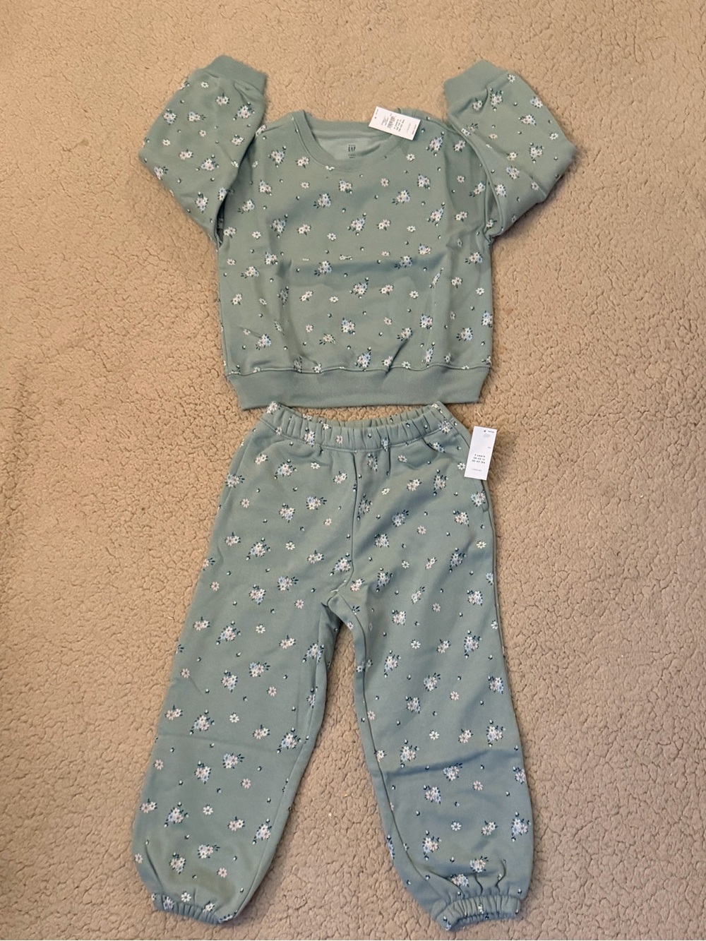 🤍Gap Toddler Vintage Soft Floral Sweat Set🤍 - Picture 2 of 6